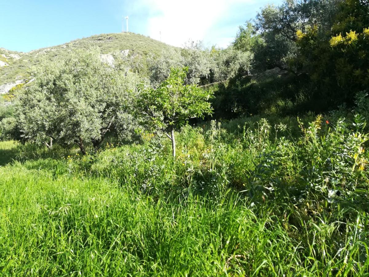 Bancal De Los Perez Carataunas 外观 照片