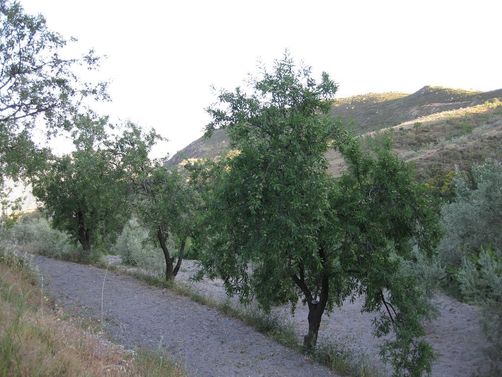 Bancal De Los Perez Carataunas 外观 照片