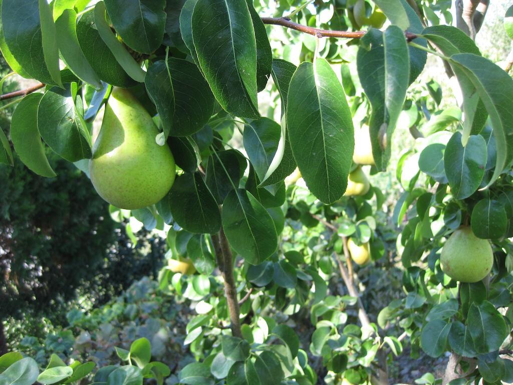 Bancal De Los Perez Carataunas 外观 照片