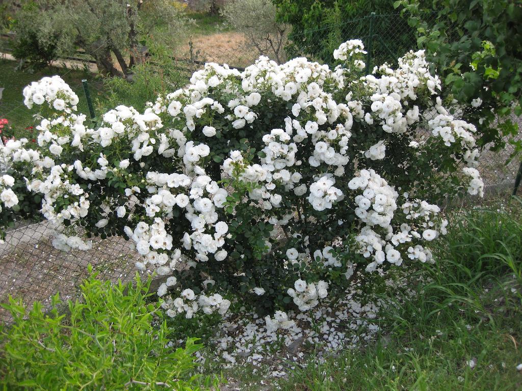 Bancal De Los Perez Carataunas 外观 照片