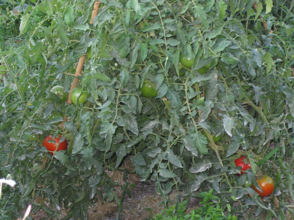Bancal De Los Perez Carataunas 外观 照片