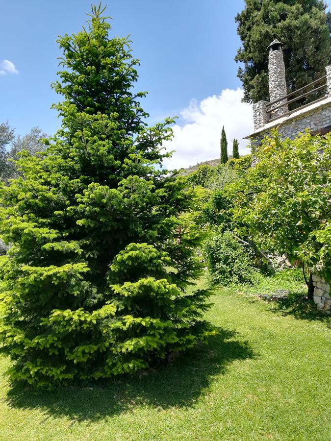 Bancal De Los Perez Carataunas 外观 照片