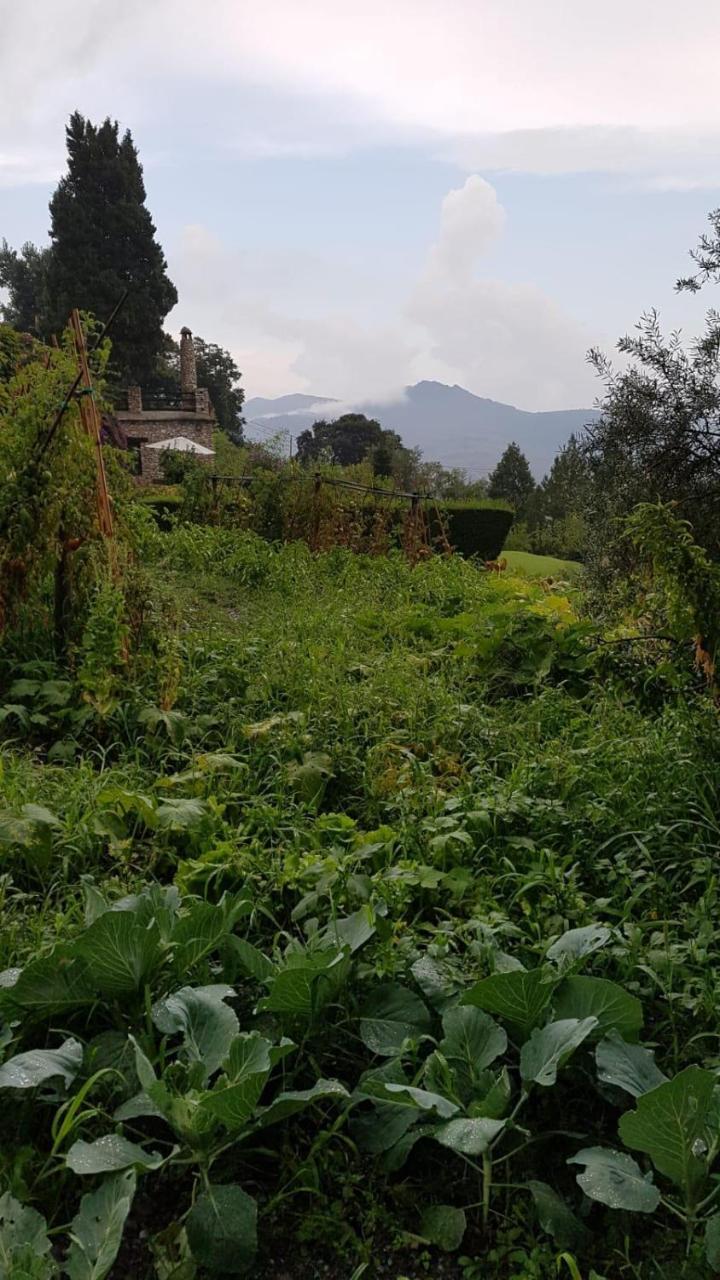 Bancal De Los Perez Carataunas 外观 照片